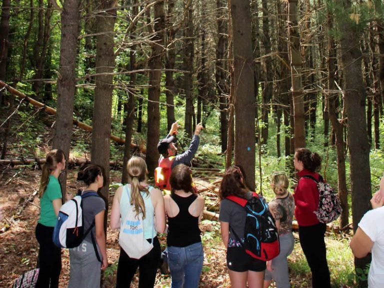 Group of people in the forest